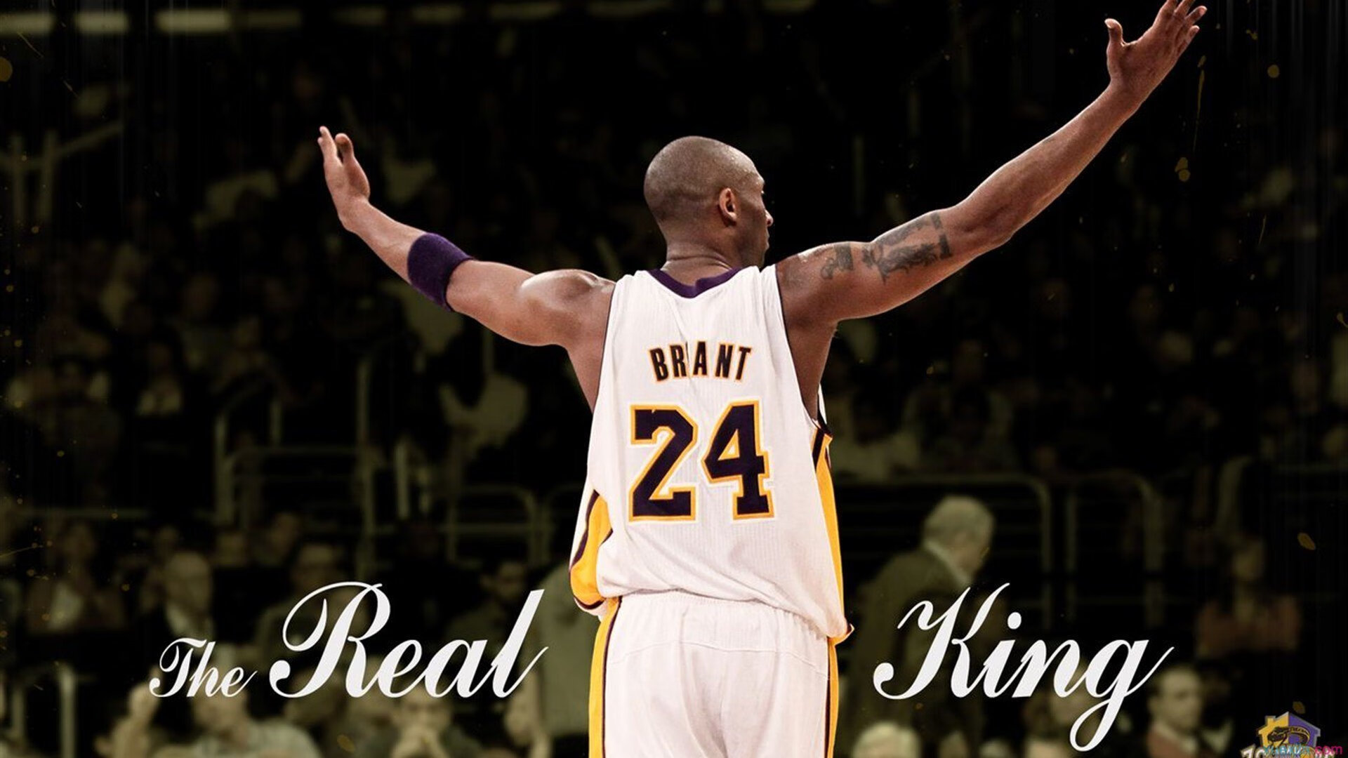 阿劳霍!一记头槌撞碎命运,欧冠之夜终成巴萨脊梁